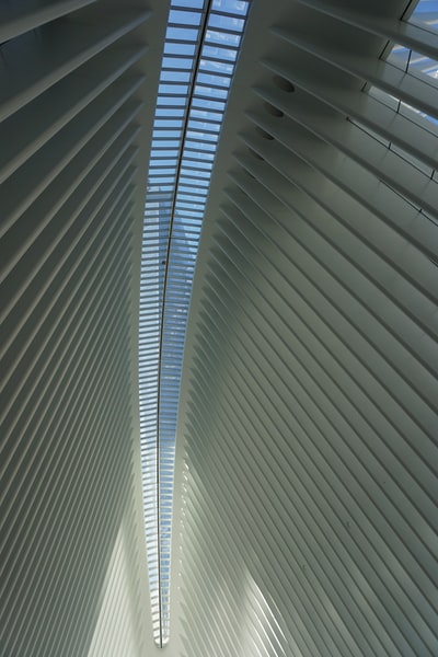 白天用白色百叶窗